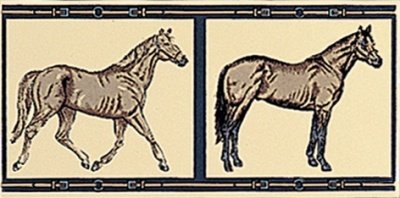 Итальянская плитка Petracer's Grand Elegance Petracer's Grand Elegance Horses su Crema 10 20