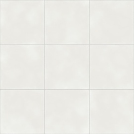 Vienna White Natural 59,2х59,2