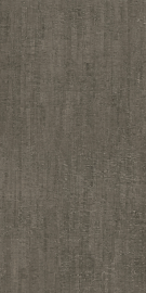 Modulo Pietra Matte 120х60