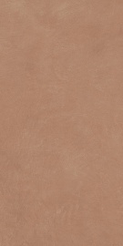 Argillae Gobi Rect 120х60
