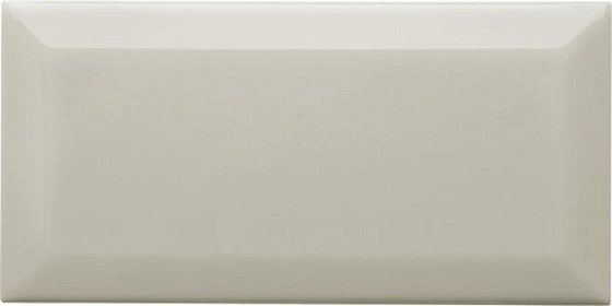 ADNE2052 Biselado PB Silver Mist 20х10