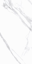 Silk Statuario Calipso Matt 120х60