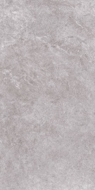 Arles Gris 5.6 120х260