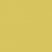 YourColor YC14 60 60