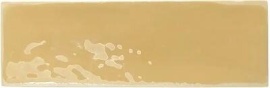 Mustard Gloss 15х5