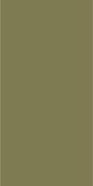 Elite Avocado Matt Fullbody 120х60