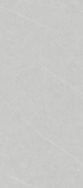 Allure Light Grey Soft Textured 119,8х269,8