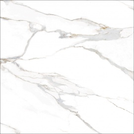 Aurora Gold Leviglass 60х60