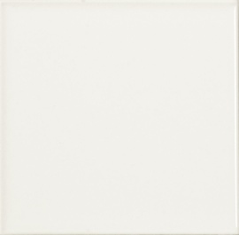 Monocolor Liso Mate Blanco 10х10