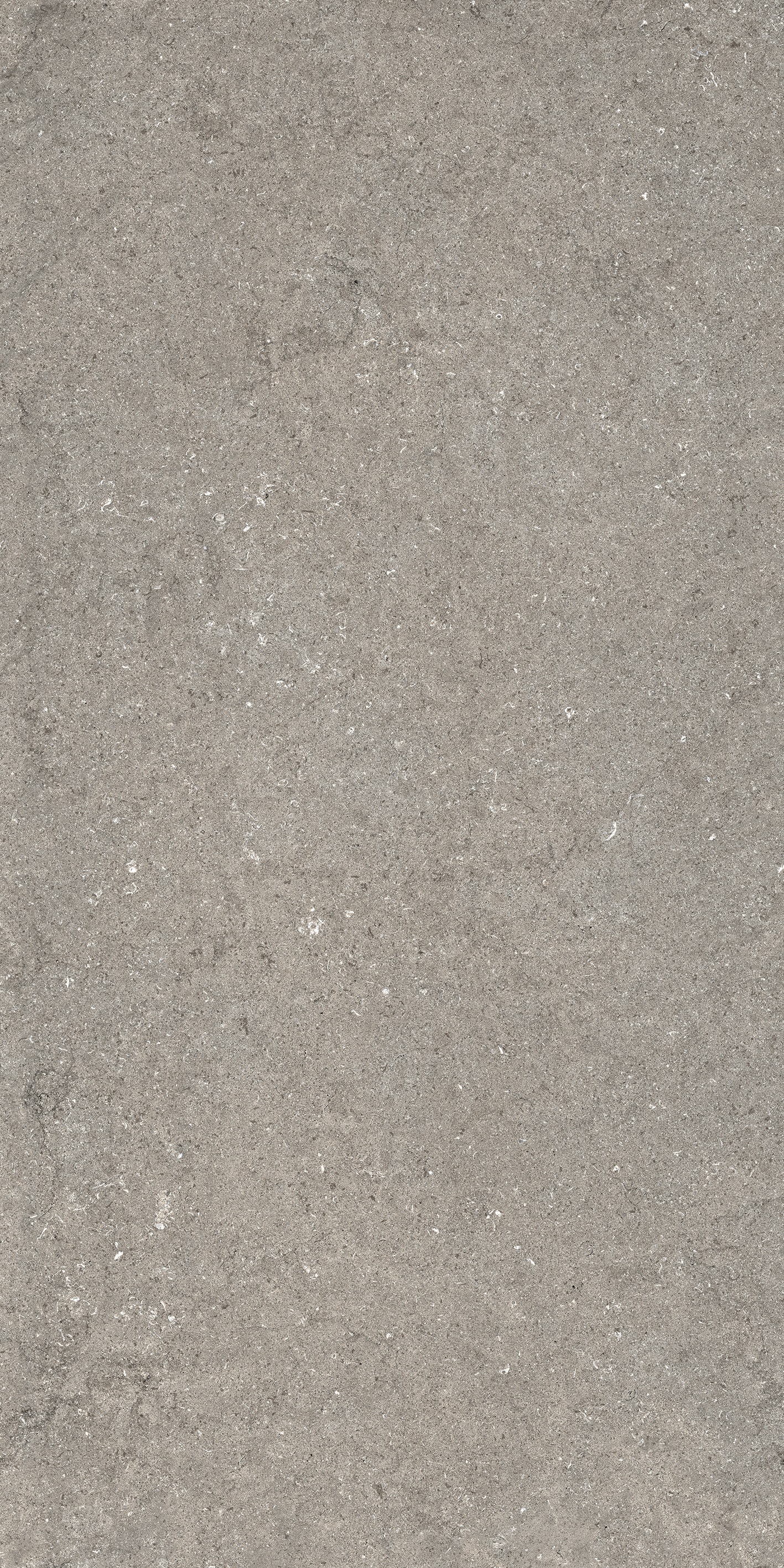 Discover Grey Ret 120х60