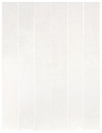 Verticale Clean 40х5