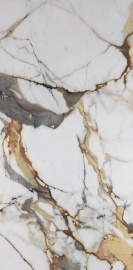 Vega Gold Polished Rec. 120х60