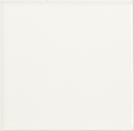 Liso Brillo Blanco 20х20