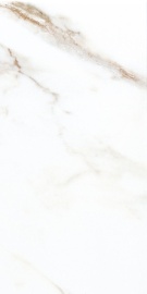 Dorian Gold Pol. 120х60