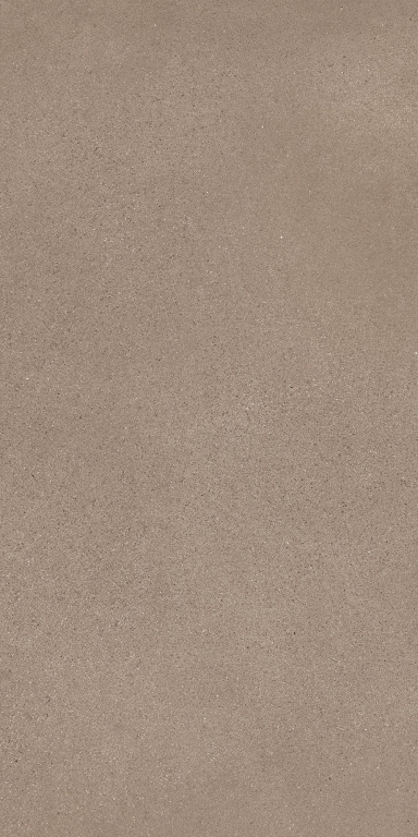 RC22 Namib Earth Matt-Pro R 120х60