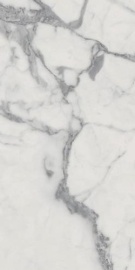 Charme Evo Statuario Nat 120х60