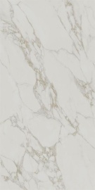 SG593100R Монте Тиберио серый светлый матовый обрезной 238,5х119,5