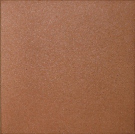 Italia Pisa GL36 24.4х24.4
