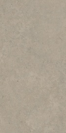 StoneSystem Terra Tobacco 120х60