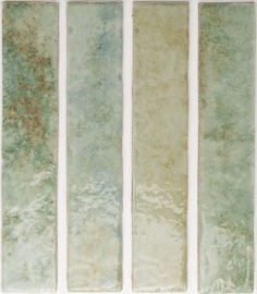 Potters Agave 25х5