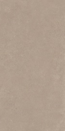 Nok Taupe 120х60