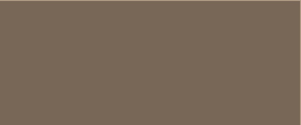 ArtiCer Gold Home Brillant Taupe 60х25