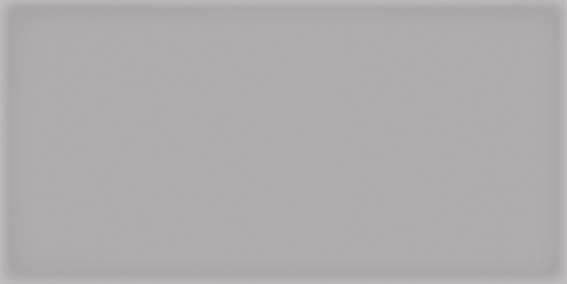 Corso Gris 20х10