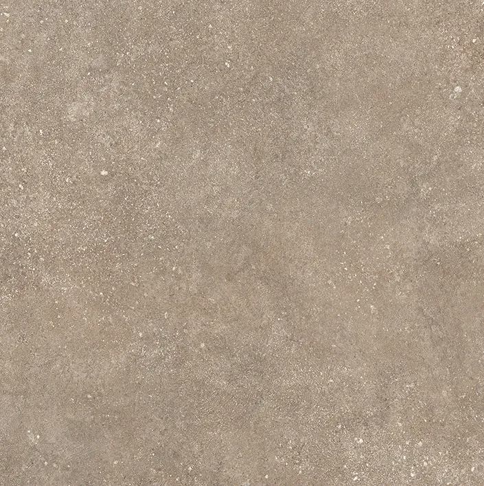 Plaza Taupe Matt Rect. 60х60