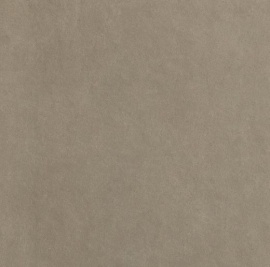 Sheer Taupe Matt R10 80х80