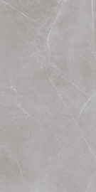 Atlas Grey 120х60