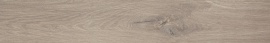 Roots Taupe Matt R9 120х20