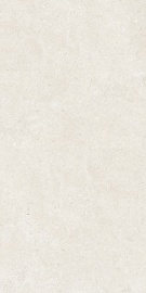 Stone Stonhenge Beige Matt 120х60
