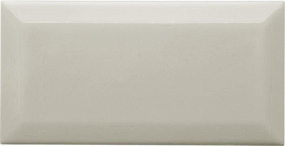 ADNE2050 Biselado PB Silver Mist 15х7.5