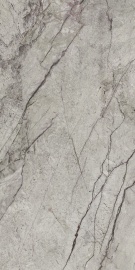 Bidisar Grigio 120х60
