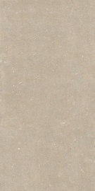 Arena Conchiglia Matte 120х60