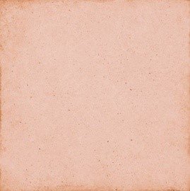 ART NOUVEAU Coral Pink 20х20