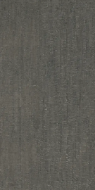 Modulo Lichene Matte 120х60