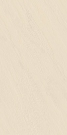 Slate Crema Relief matt 120х60