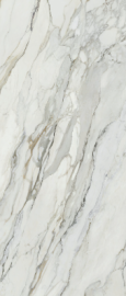 Arabescato Corchia Honed Rect. 278х120