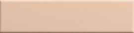 Biscuit Plain Powder 20х5