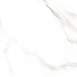Octo Element Terni Blanco 25х25