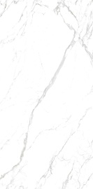 Marmoker Statuario Grigio Lucido 278х120
