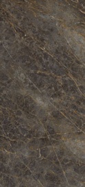 AE GOL6 260 LP 120х260