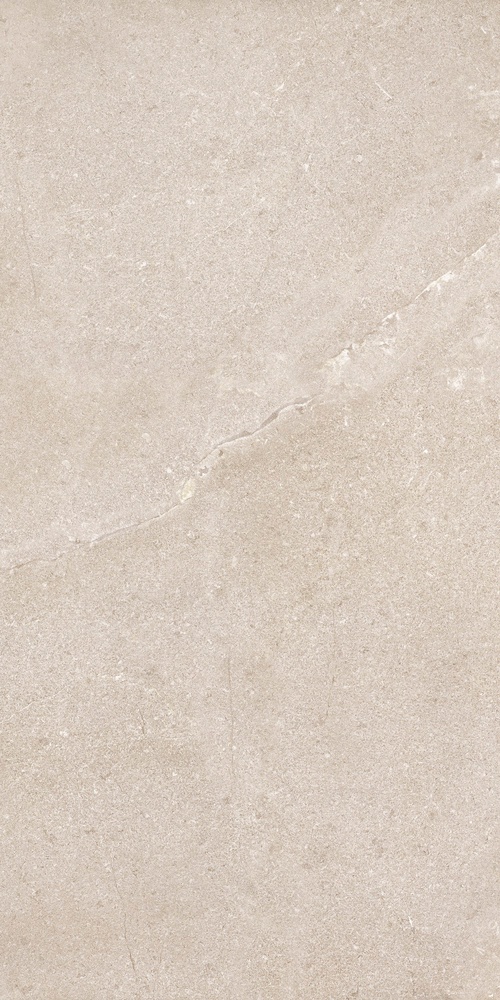New Stone Daino 120х60