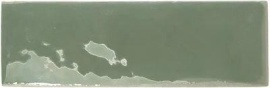 Moss Gloss 15х5