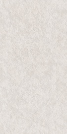 Stone Basalt Stone White Matt 120х60