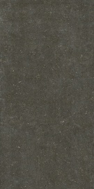 Arena Platino Matte 120х60