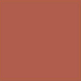 Vives Monocolor Teja 20х20