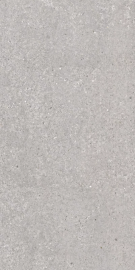 SAN VICENTE NATURAL MATT 120х60
