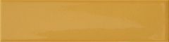 Kappa Mustard 5 20